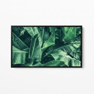 รูปภาพพิมพ์ผ้าใบ Plant C9050-2 ขนาด  90x50ซม. (ก.xส.) NICE  (ใบกล้วย)
