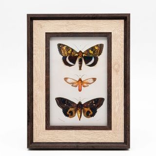 กรอบรูป ขนาด 4x6นิ้ว ลายไม้ สี Wood with dark edge
