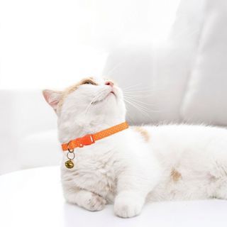 ปลอกคอแมวปรับได้ มีกระดิ่ง รุ่น PT022  ขนาด 1.0x18x0.2ซม. สีส้ม DUDUPETS