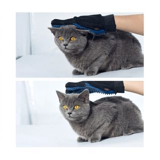 ถุงมือแปรงขนสัตว์เลี้ยงข้างขวา รุ่น GR013 ขนาด 13x24x1ซม.  สีฟ้า DUDUPETS